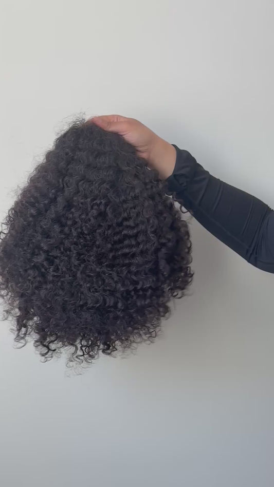 Burmese Curly